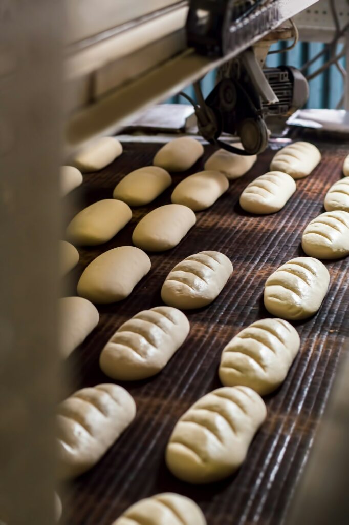 Bread dough running on conveyor belt at industrial factory.